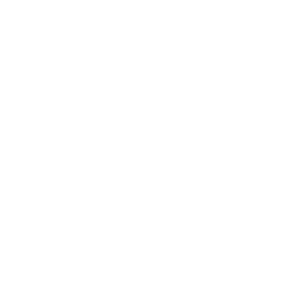 Digital Danang Logo - White with Transparent Background