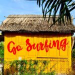 Go Surfing