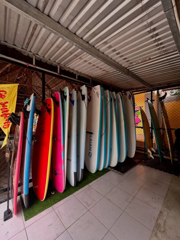 Go Surfing